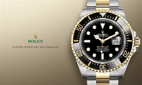 rolex secure file|rolex watch download.